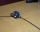 Speedbot en la prueba de velocistas