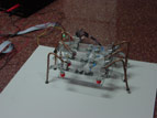 Micorobot microinsecto